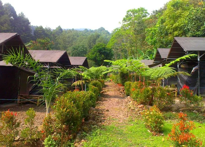 Curug Nangka Green Glamping