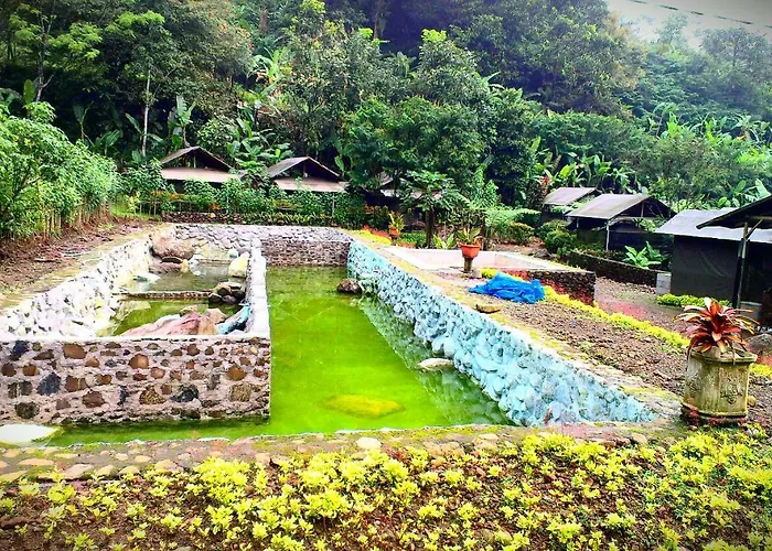 Curug Nangka Green Glamping